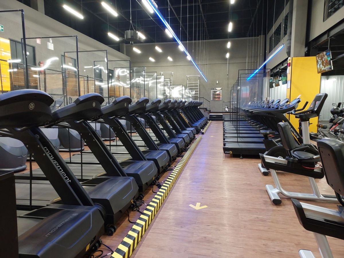 Row of treadmills in the cardio zone